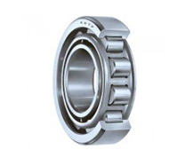 Cylindrical Roller Bearings